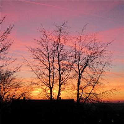 易倍下载手机版